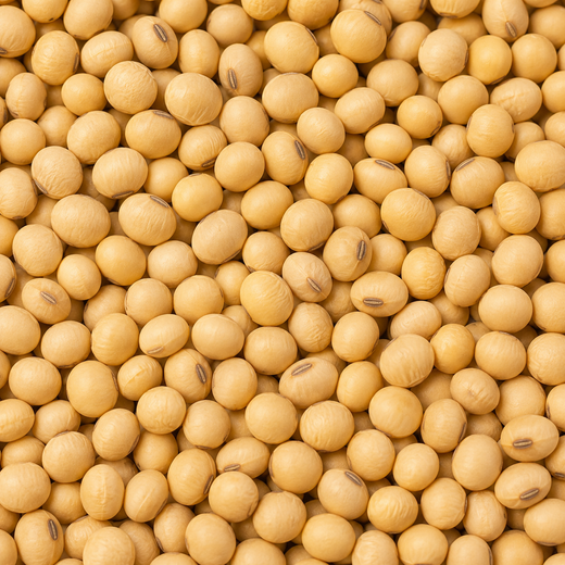SOYA