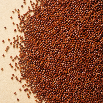 Ragi