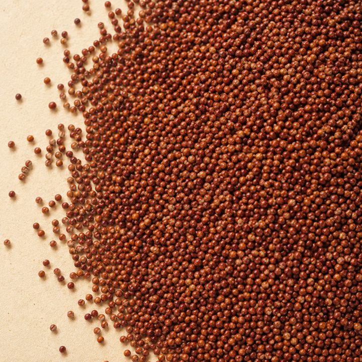 Ragi