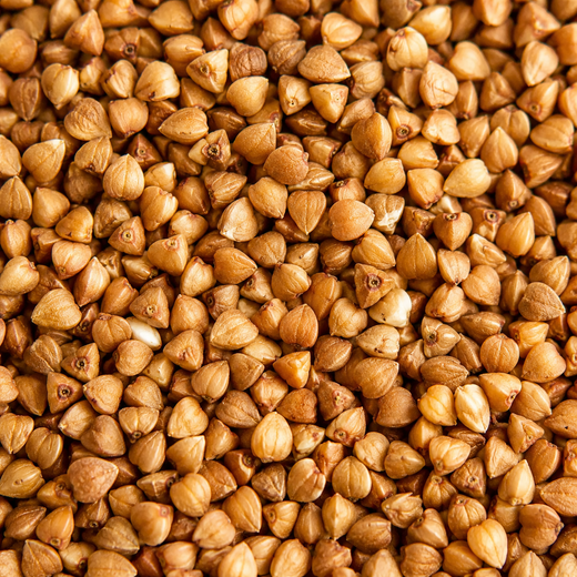 BUCKWHEAT