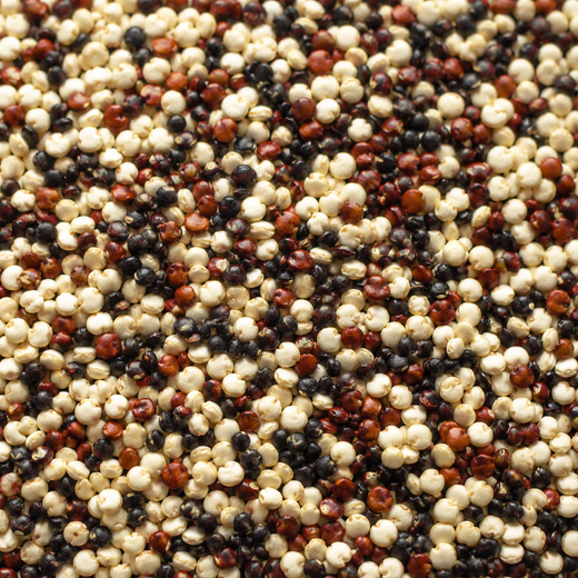 QUINOA