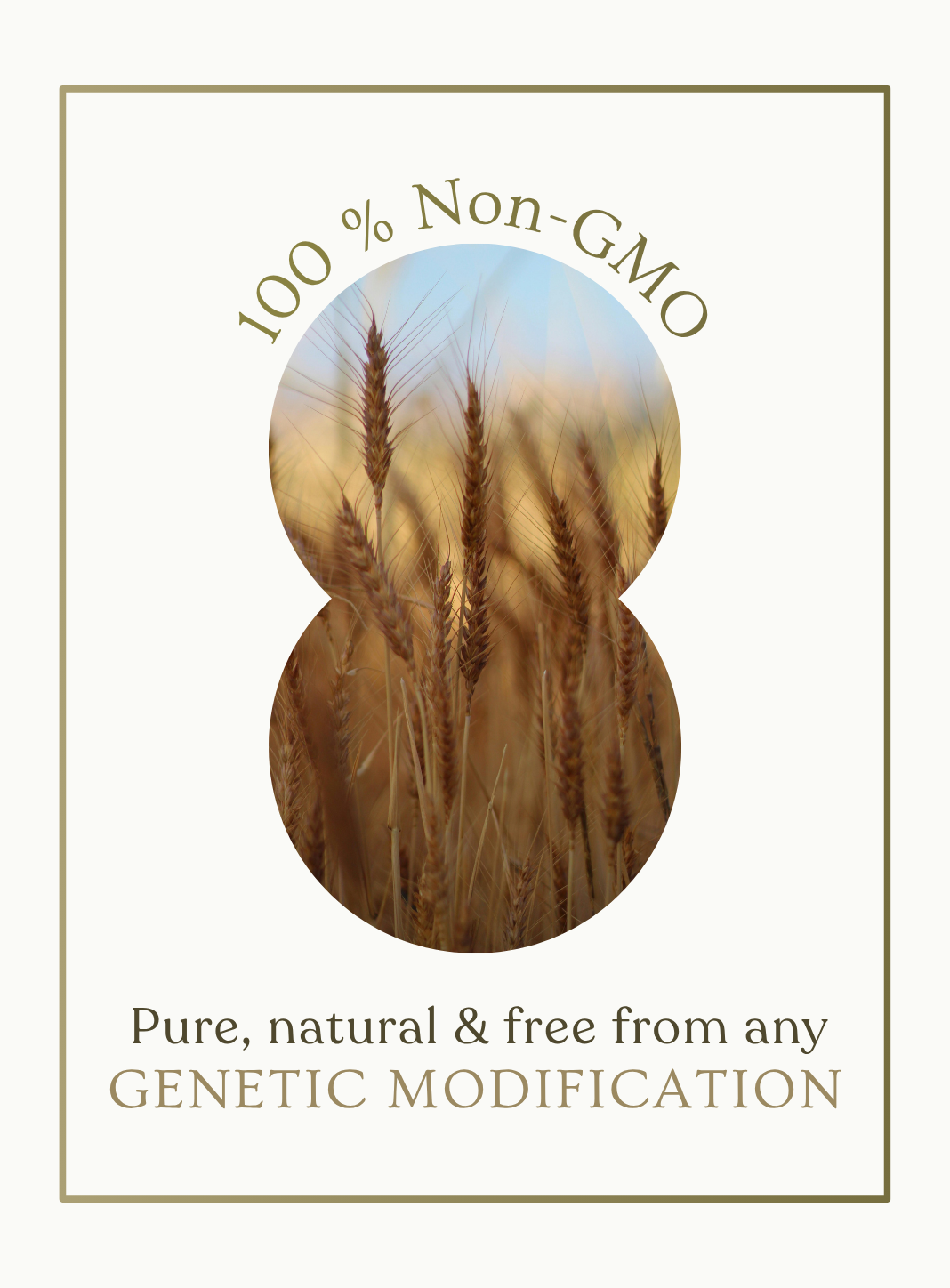 Khapli Wheat Flour